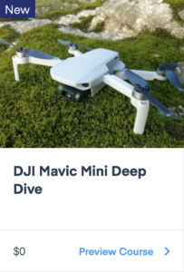 DJI Mini 2 Deep Dive - Pilot Institute